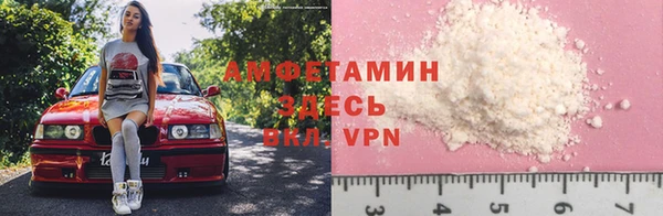 индика Мегион