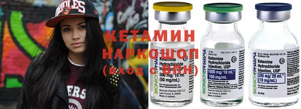 индика Мегион