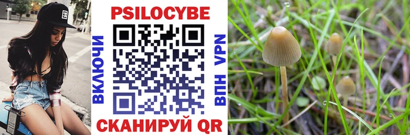 Галлюциногенные грибы Magic Shrooms Оренбург